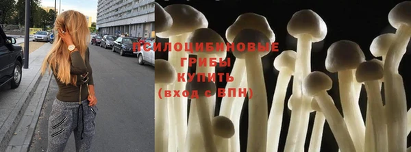 бутират Михайлов